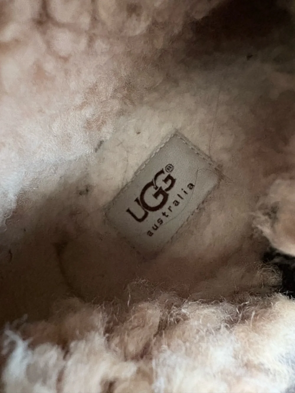 Ugg Chancery Tall Riding brown black Leather Boot Shearling Fur Lined Boot‎ 7.5